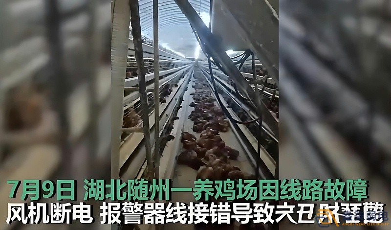 養(yǎng)雞場為什么要24h監(jiān)測溫濕度斷電報(bào)警器？